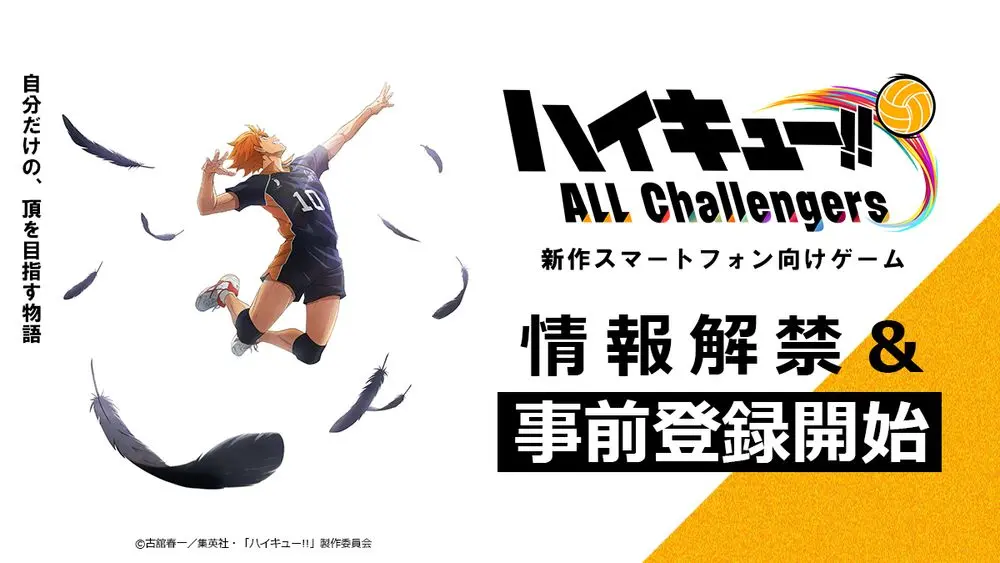 Haikyu!! Training Sim Game 1