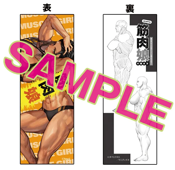 How to Draw Muscle Girls for the First Time 4