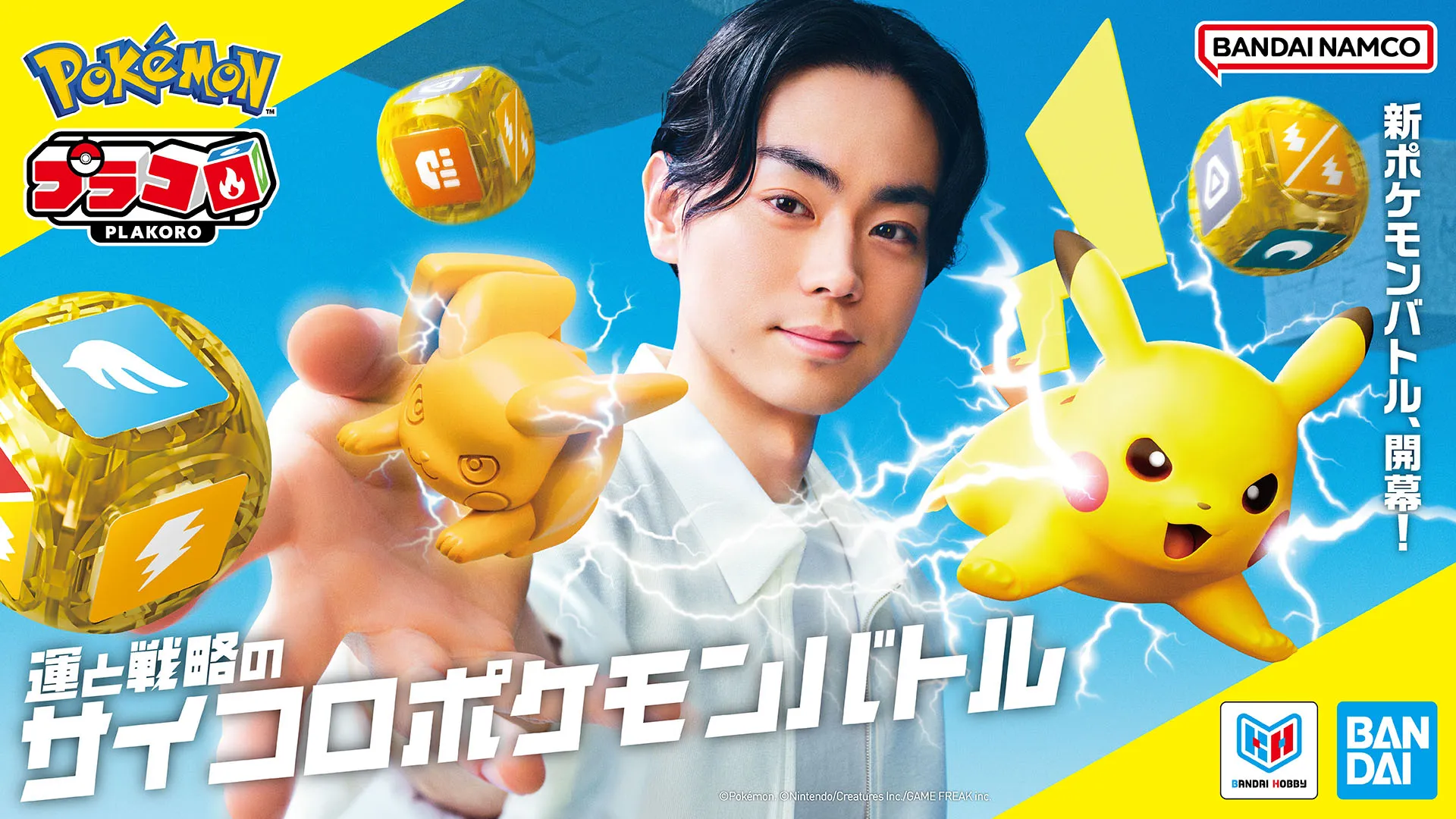 Pokémon Plakoro dice game 11