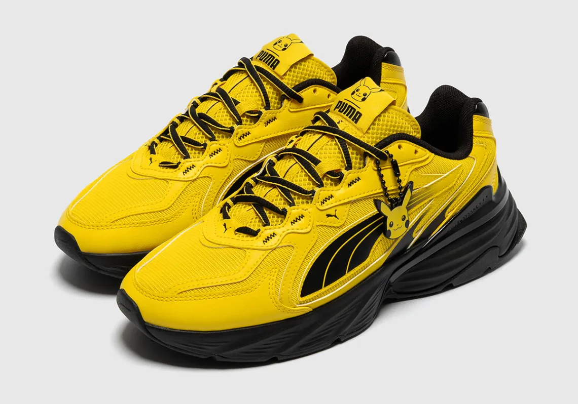 Pokemon Puma 14