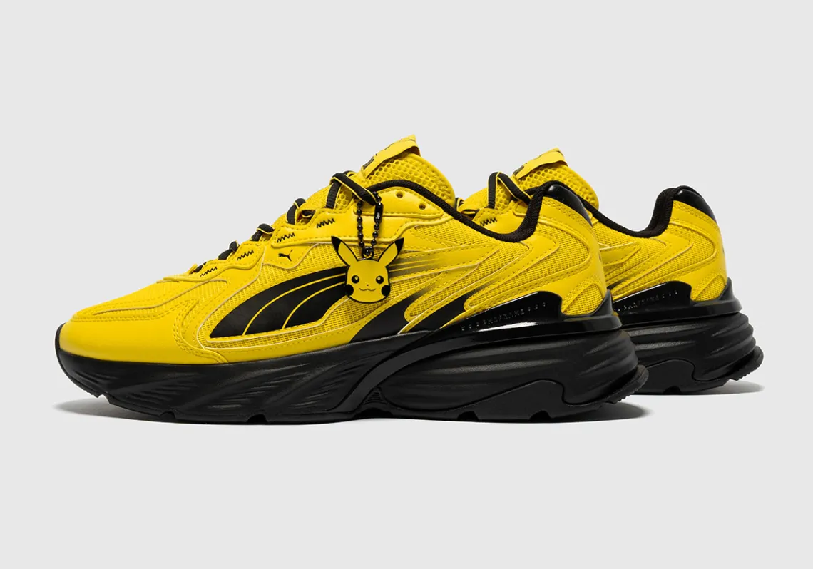 Pokemon Puma 15