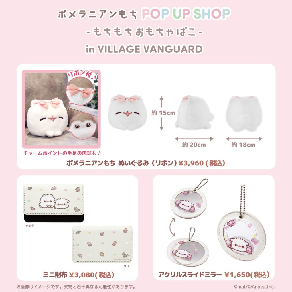Pomeranian Mochi Pop up shop 2