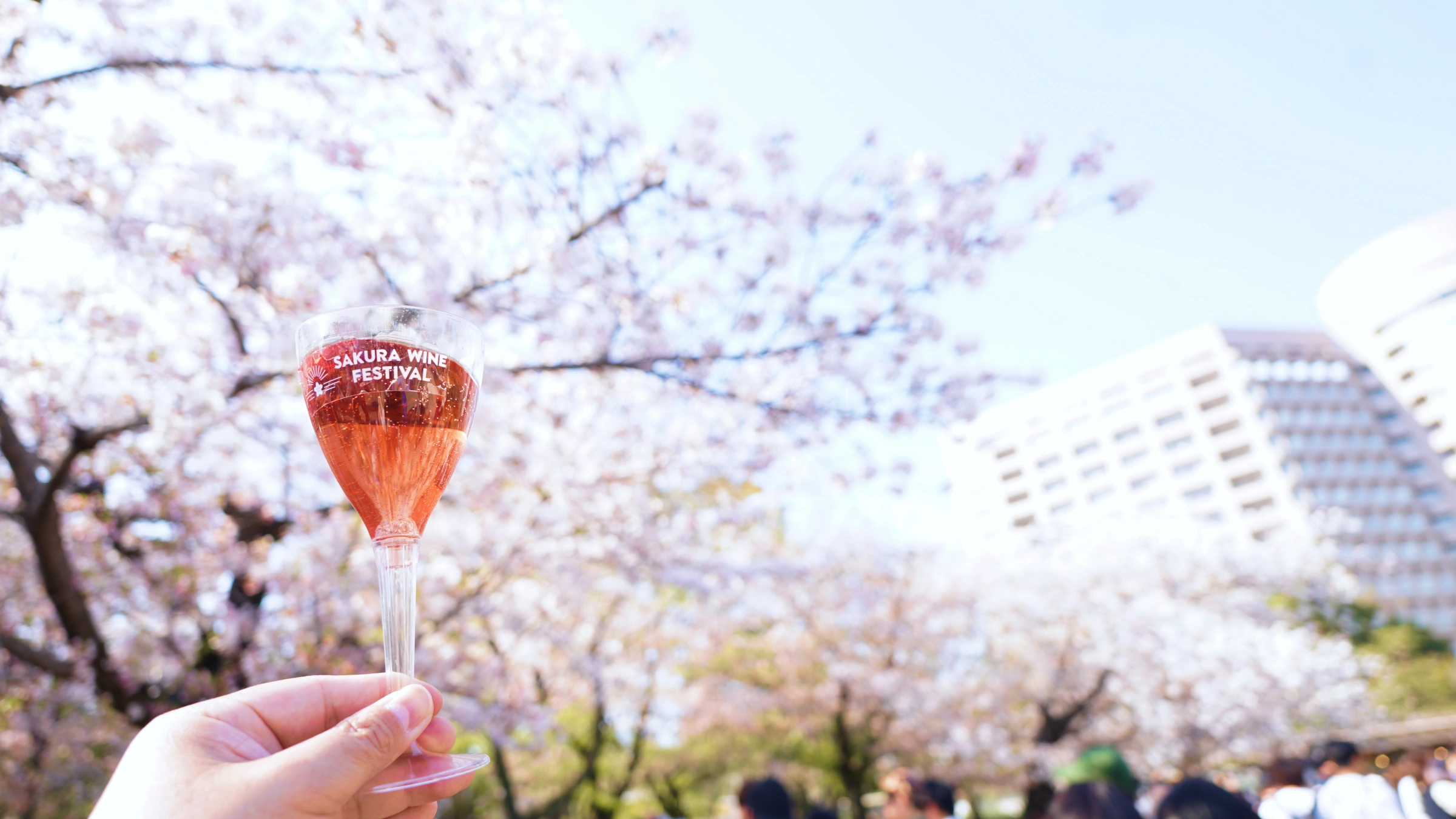 Sakura Wine Festival