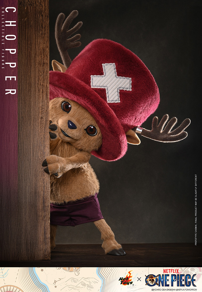 Tony Tony Chopper Figure 5