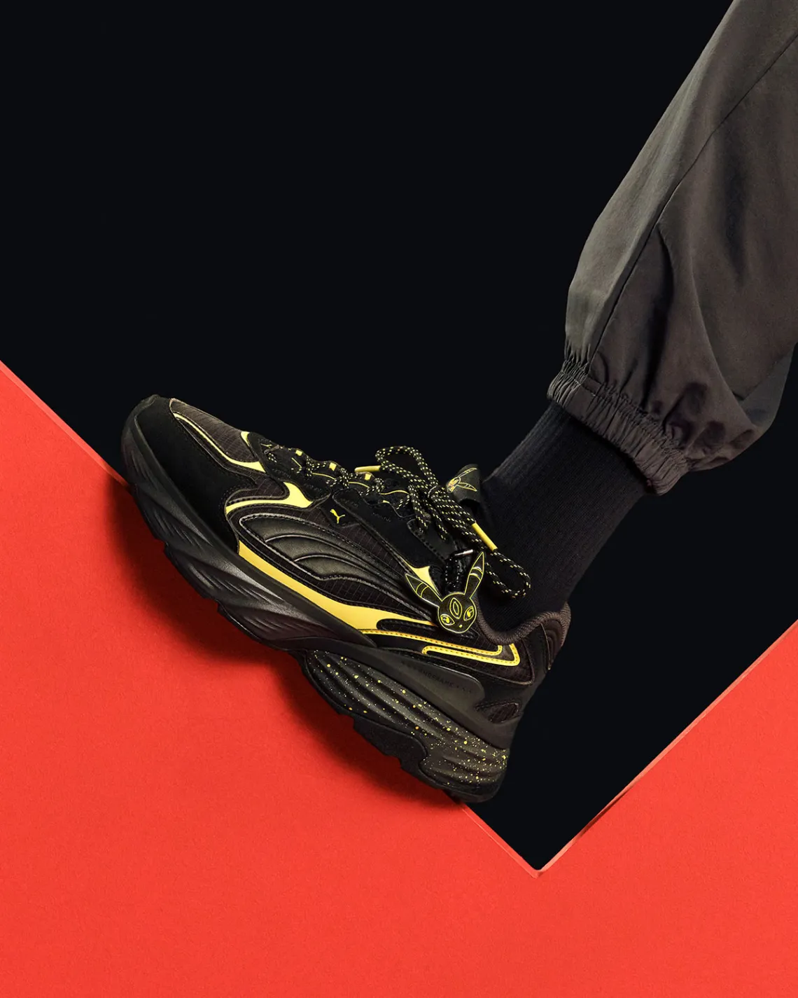 Pokemon Puma 5