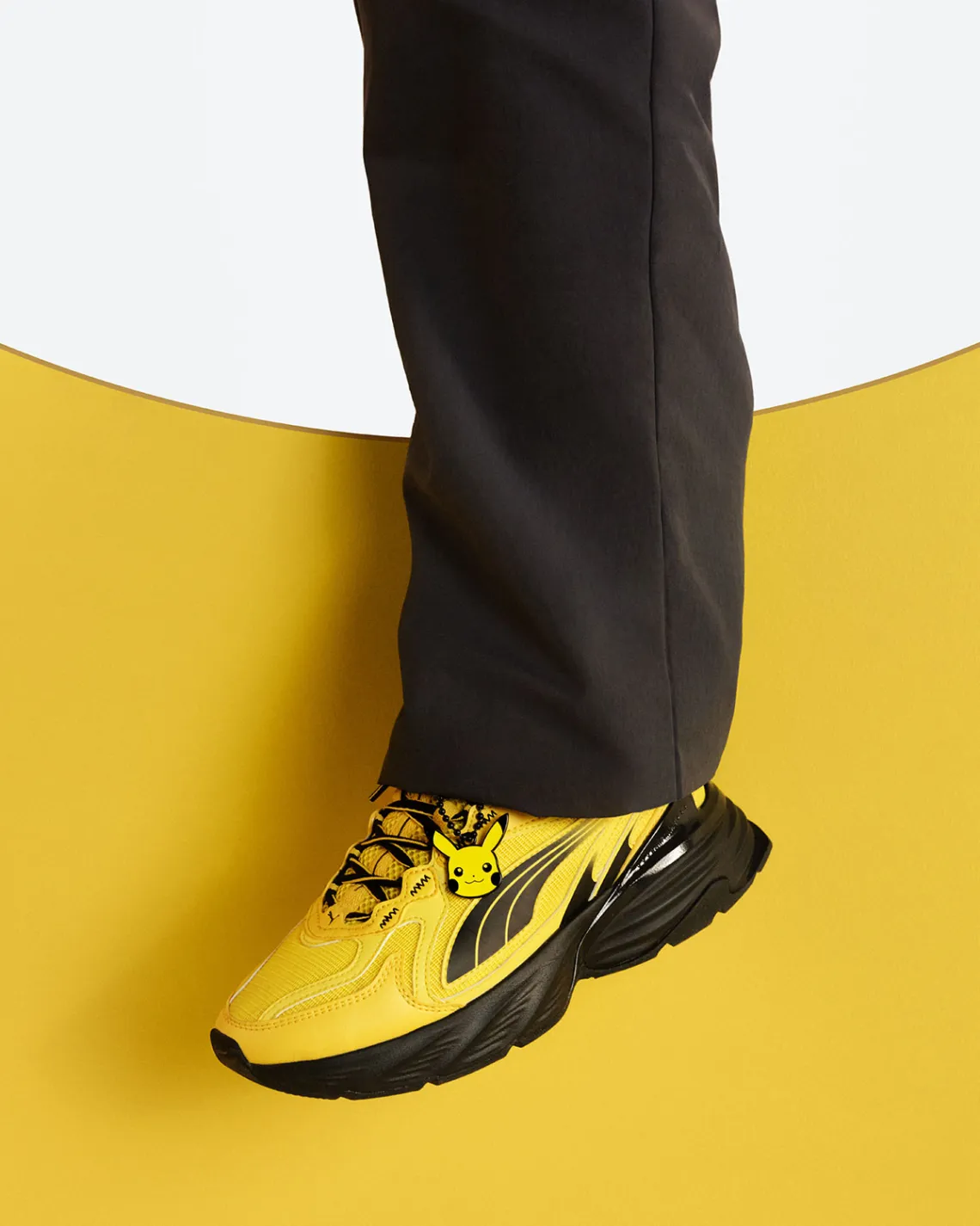 Pokemon Puma 4