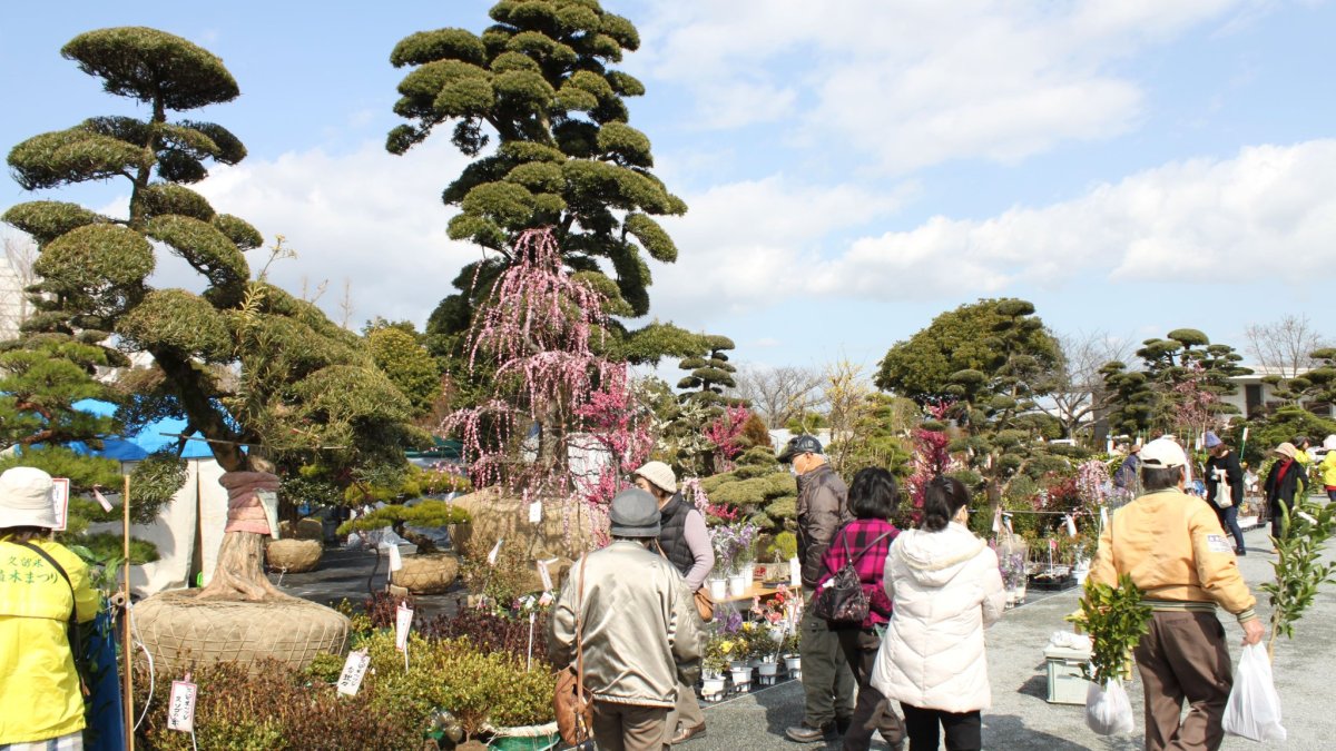 Kurume Ueki Festival 2026