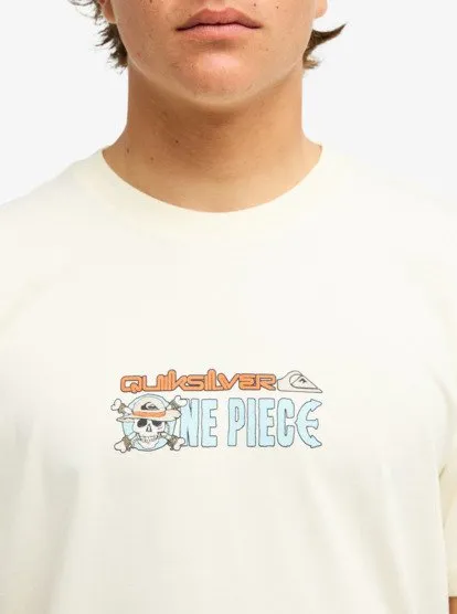 one piece quiksilver 10