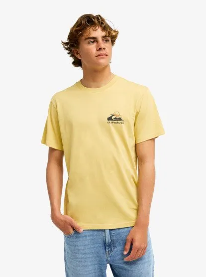 one piece quiksilver 13