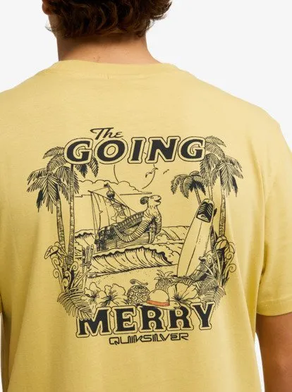 one piece quiksilver 14