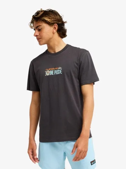 one piece quiksilver 17