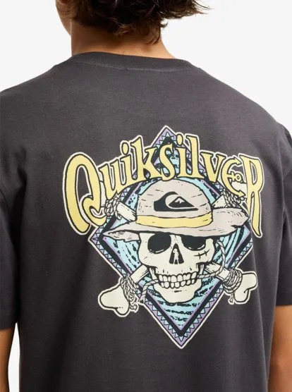 one piece quiksilver 18