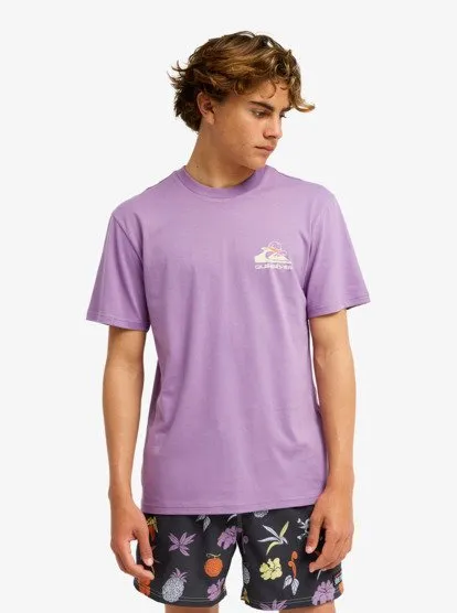 one piece quiksilver 19