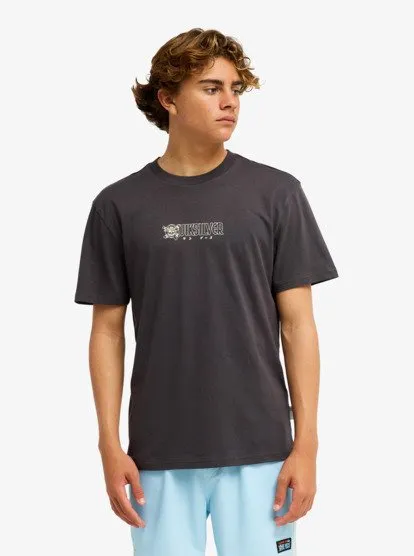 one piece quiksilver 22