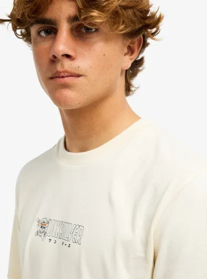 one piece quiksilver 26