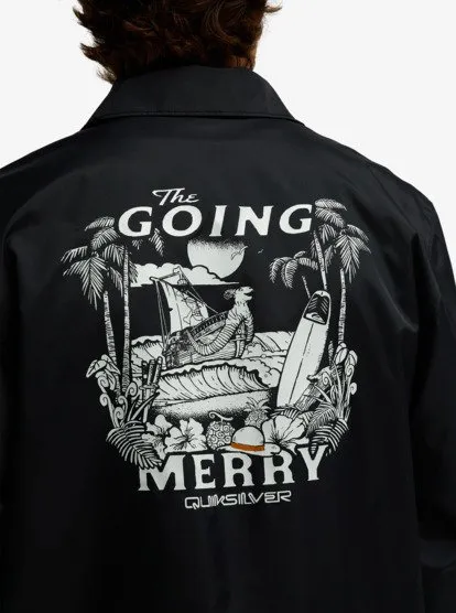 one piece quiksilver 33