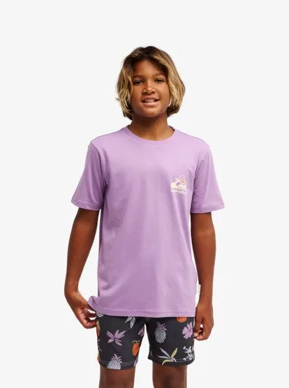 one piece quiksilver 36