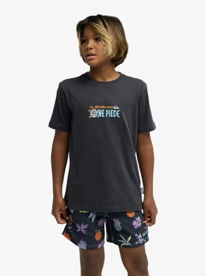 one piece quiksilver 38