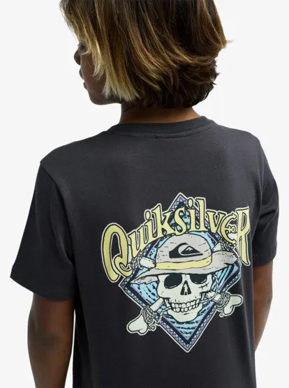 one piece quiksilver 39