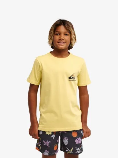 one piece quiksilver 45