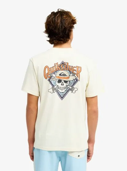 one piece quiksilver 9