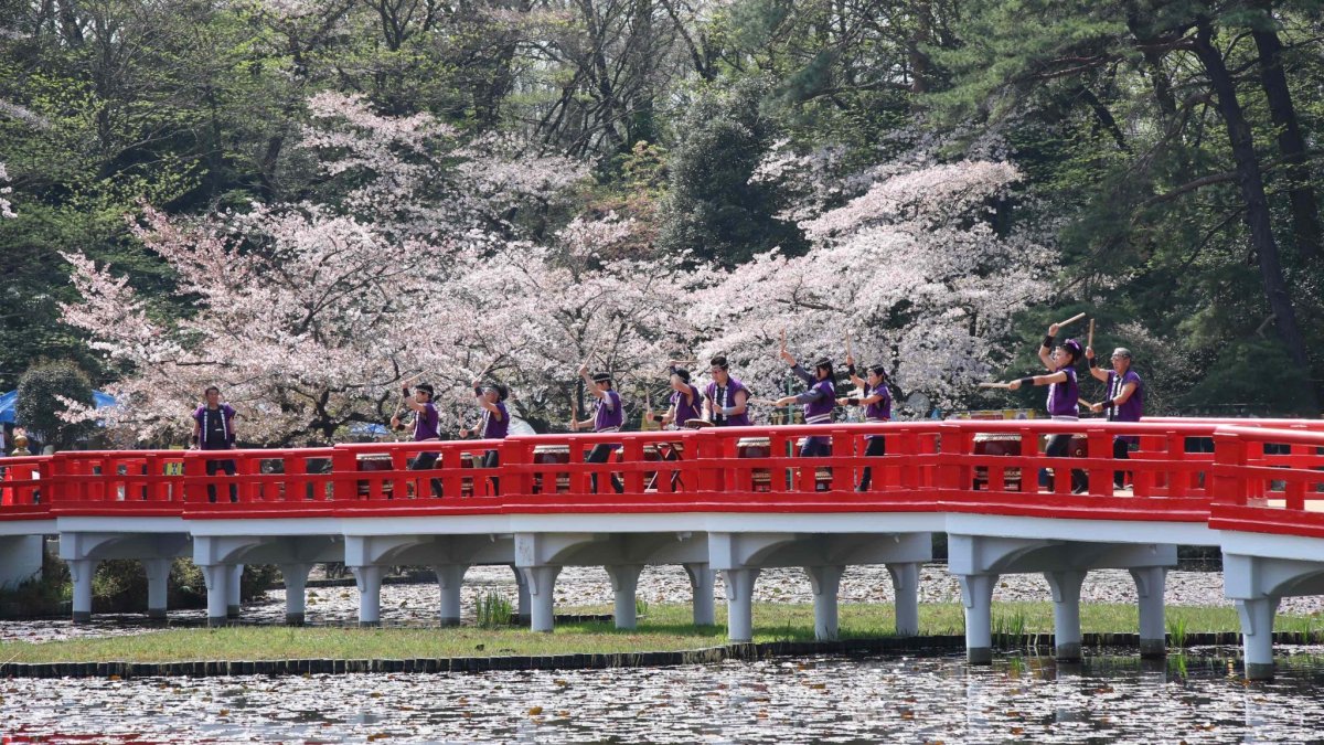 Iwatsuki Castle Park Sakura Festival 2026