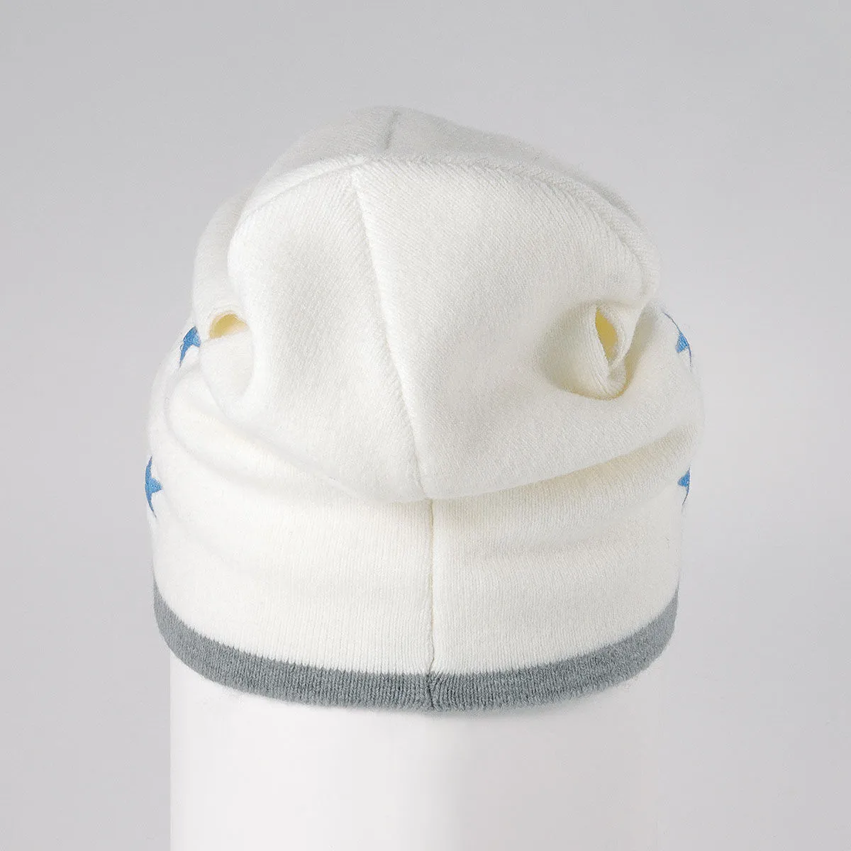 steel ball run jojo johnny replica beanie 4