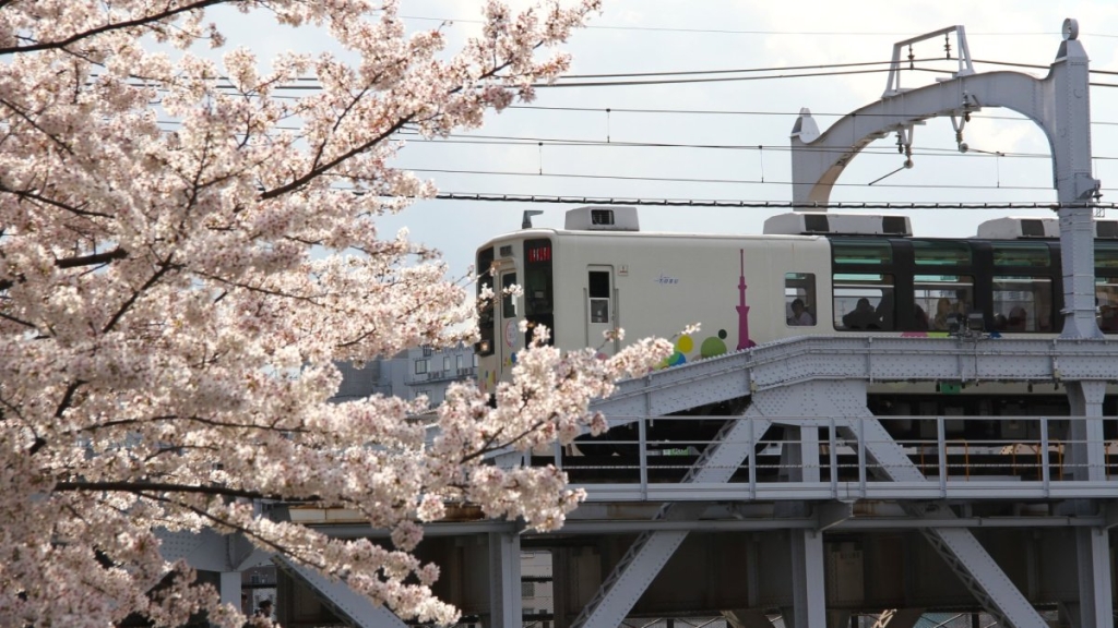 Sumida River Bridge Sakura Train 2026