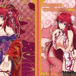High School DxD Oiran & China Dress Store in Akihabara 2026