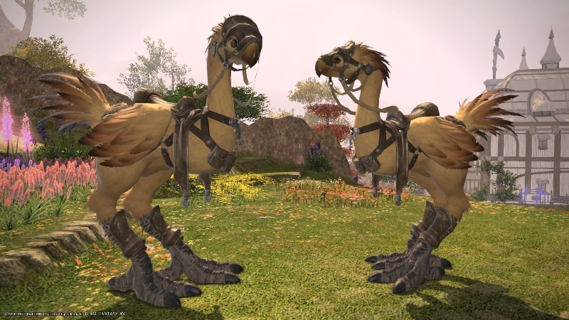 Chocobo 2