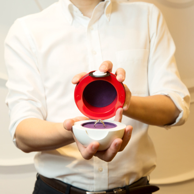 Pokémon Wedding Jewelry Collection 11