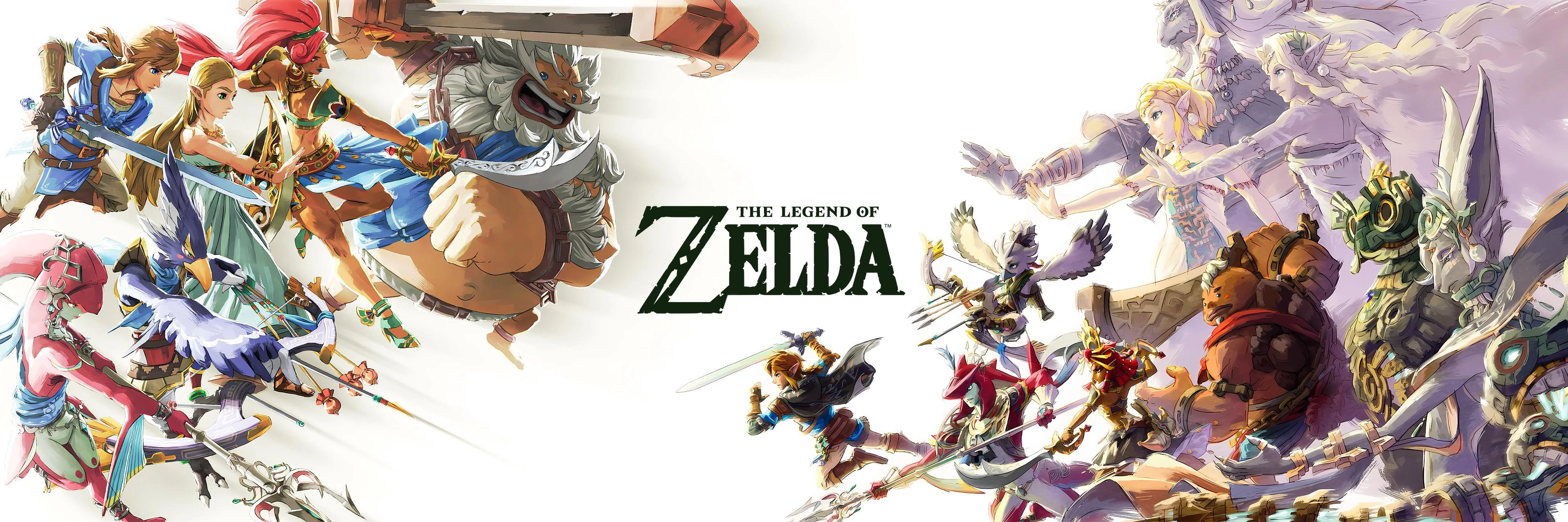 The Legend of Zelda Tears of the Kingdom Master Works 6