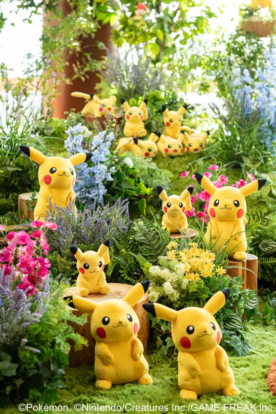 grand hyatt pokemon room 2026 5