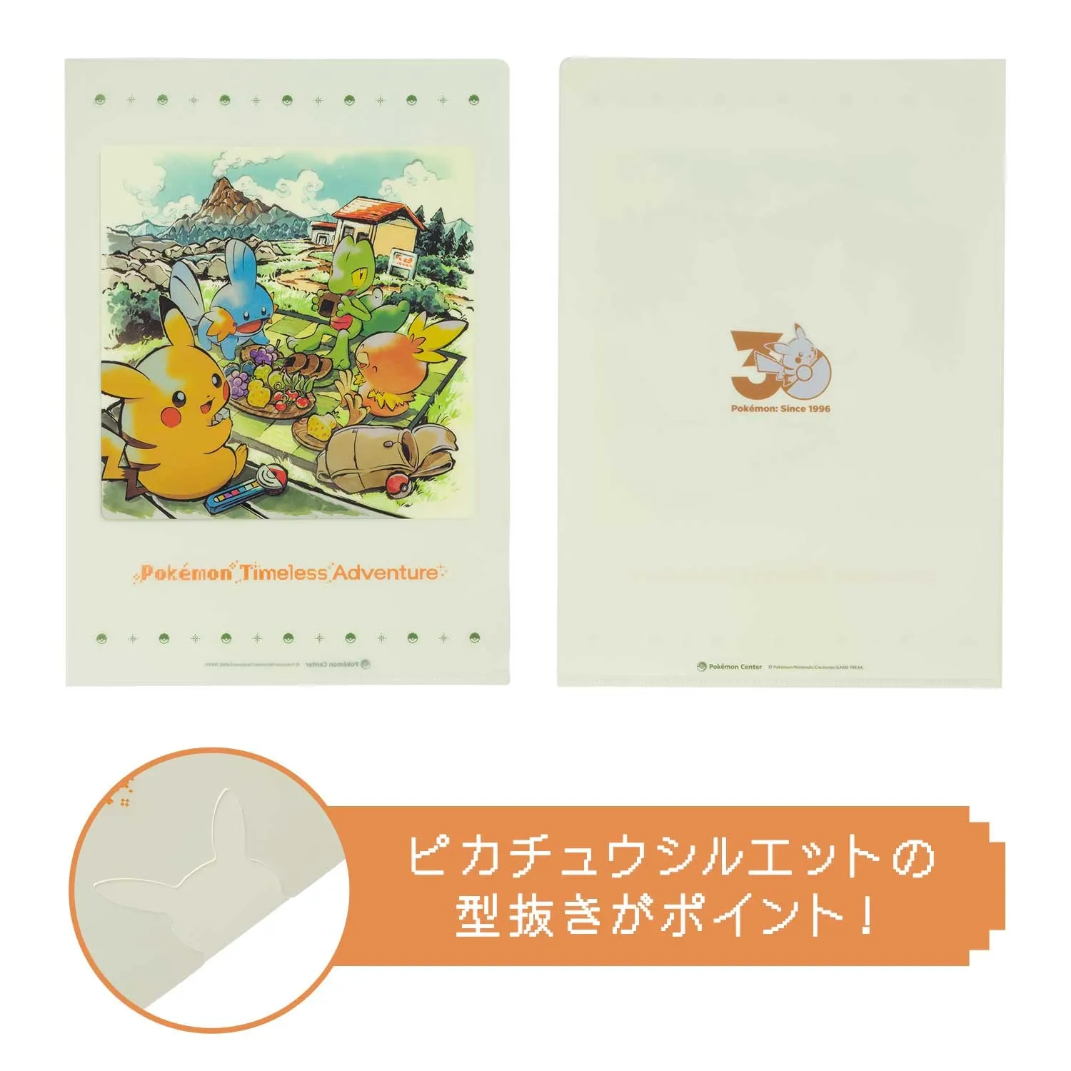 pokemon timeless adventure hoenn 11