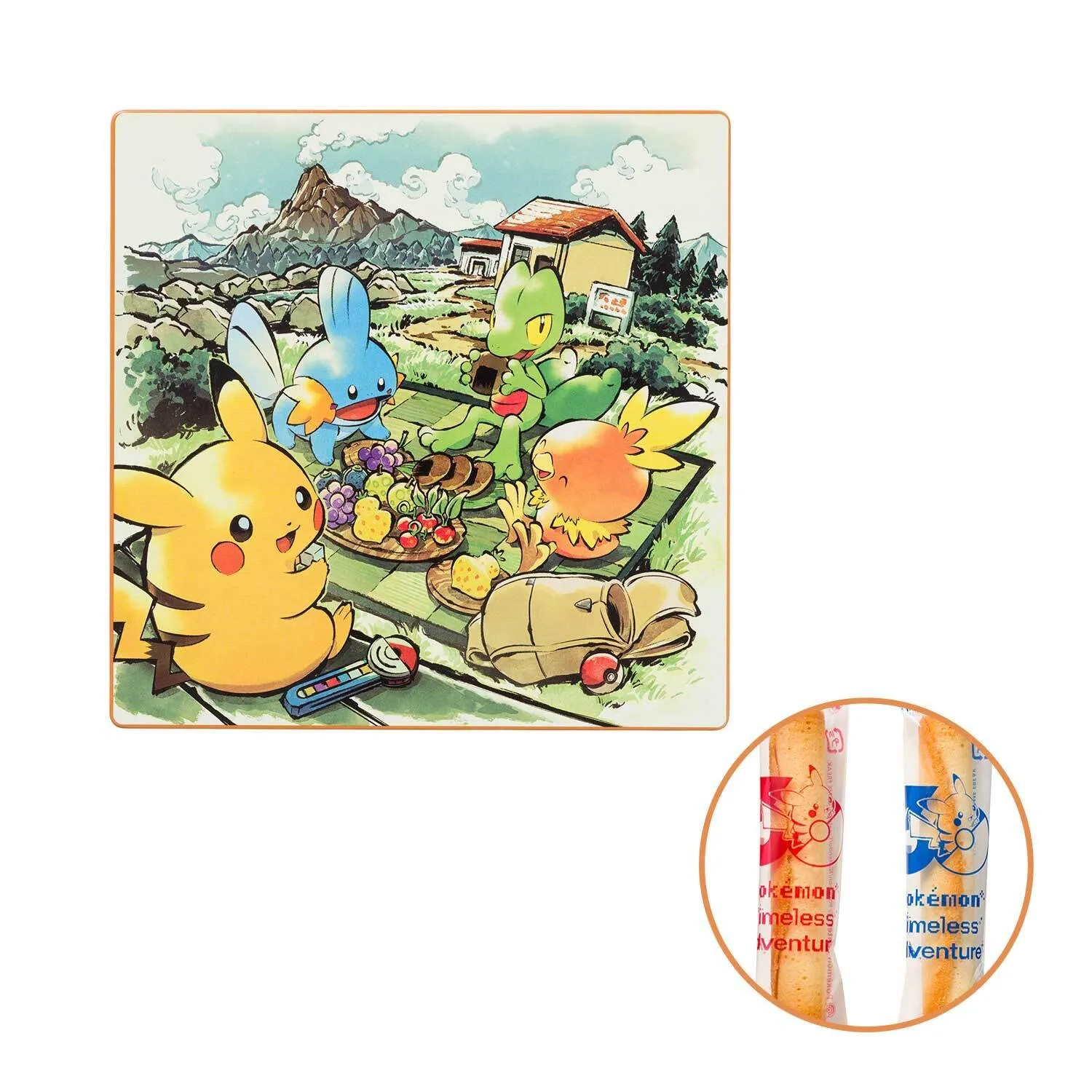 pokemon timeless adventure hoenn 7