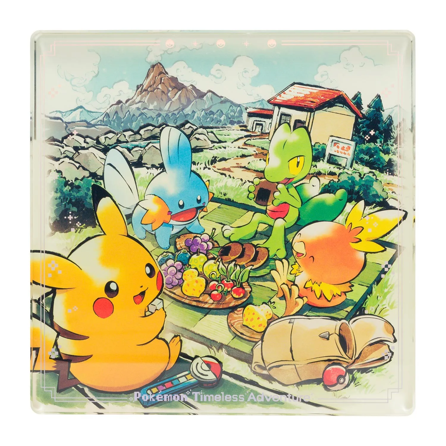 pokemon timeless adventure hoenn 9