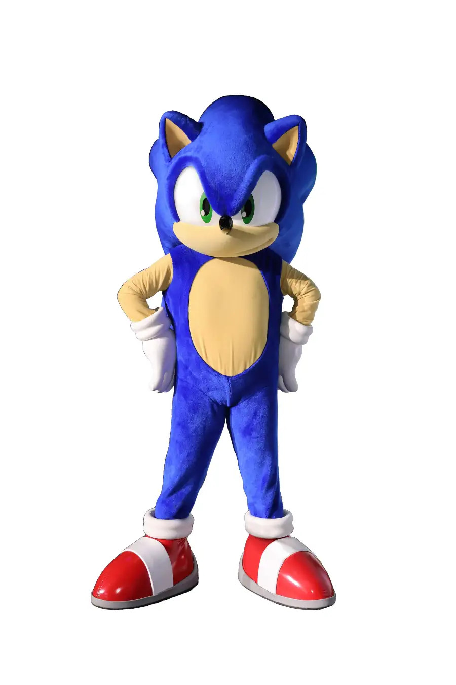 psg sonic collab 4