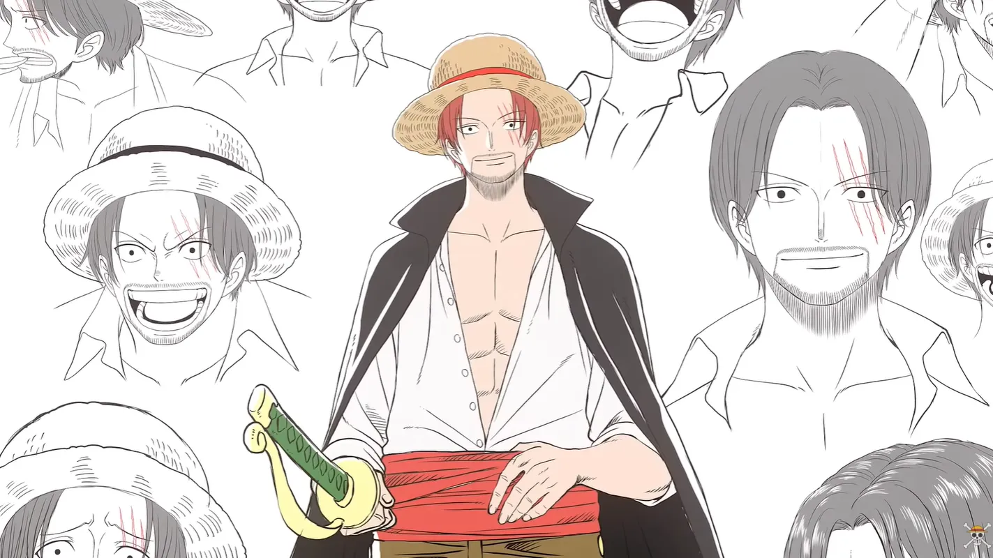 the one piece character designs 6