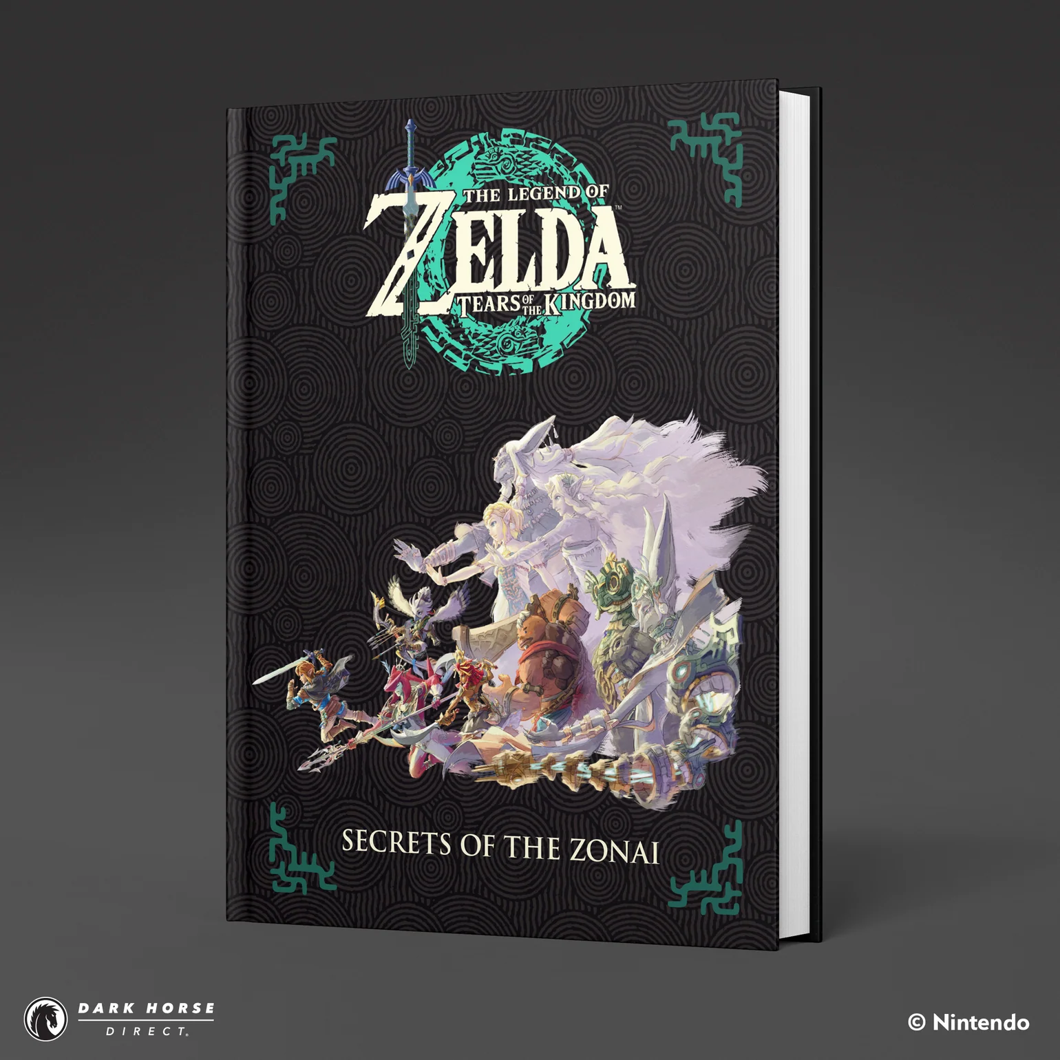 zelda totk artbook