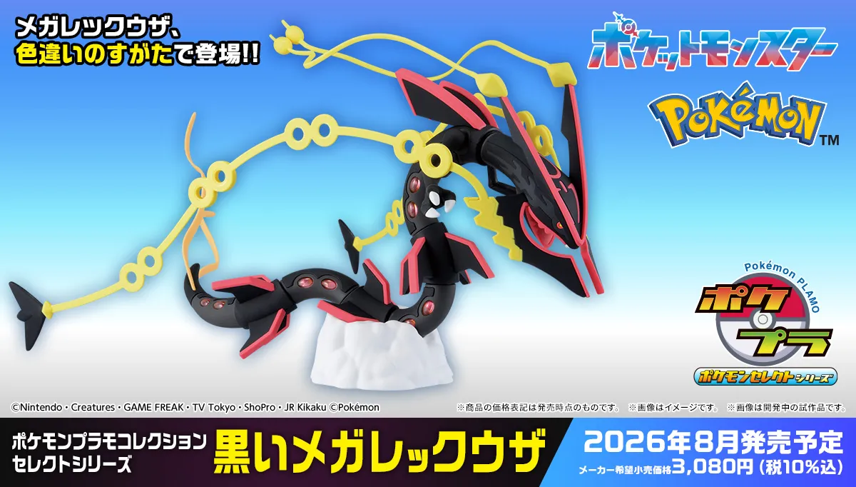 POKEMON RAYQUAZA BLACK PLAMO 3
