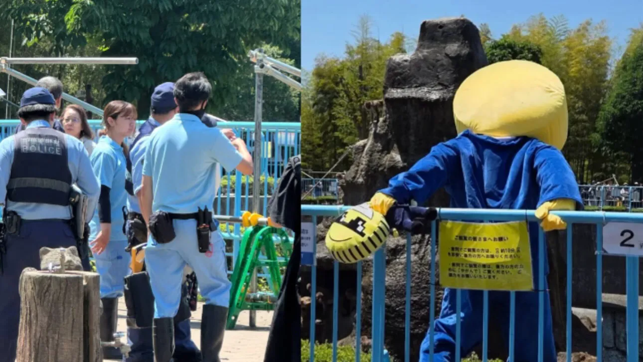 PUNCH MONKEY ICHIKAWA ZOO INTRUDER 2