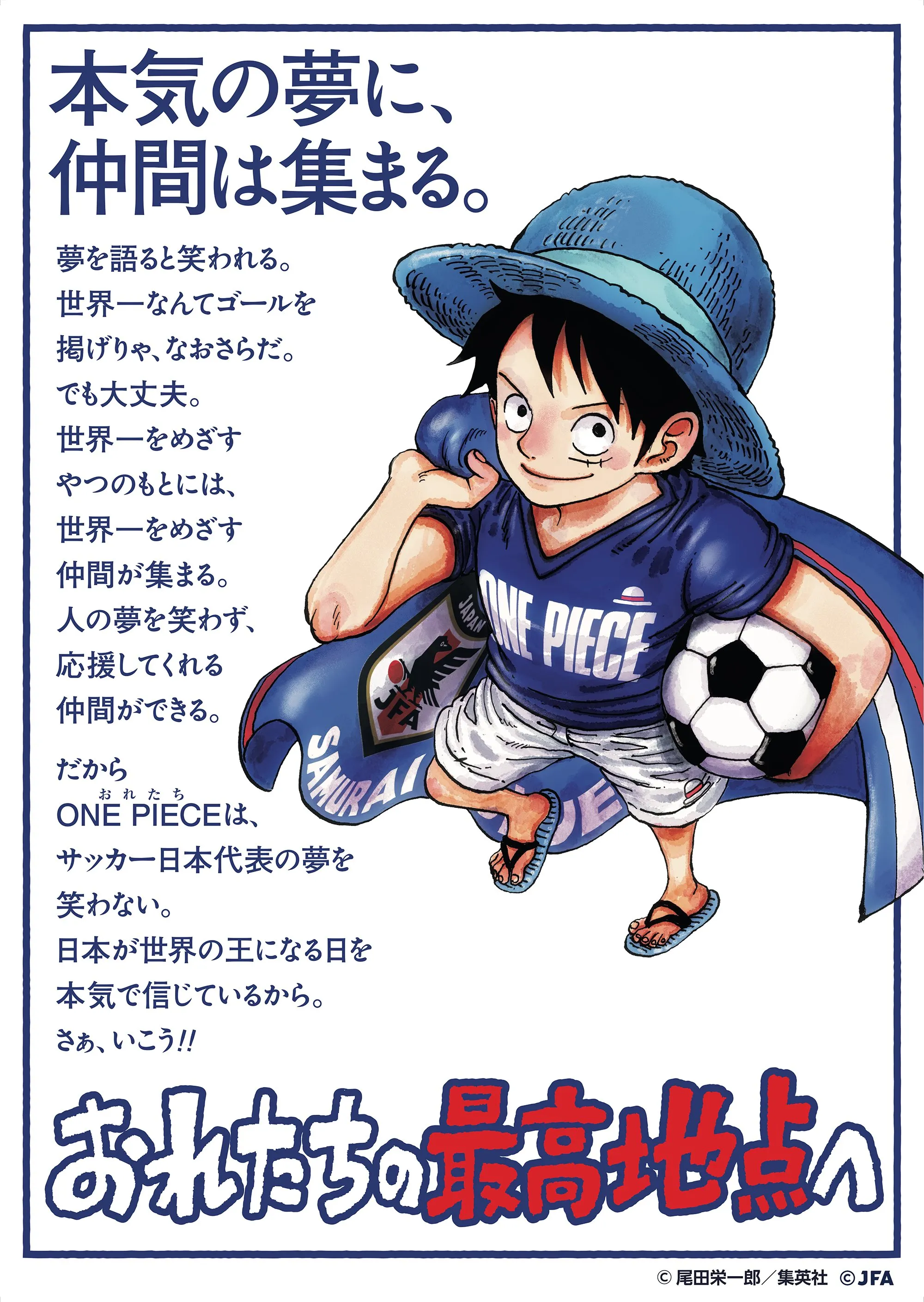 one piece japan world cup straw hats 4