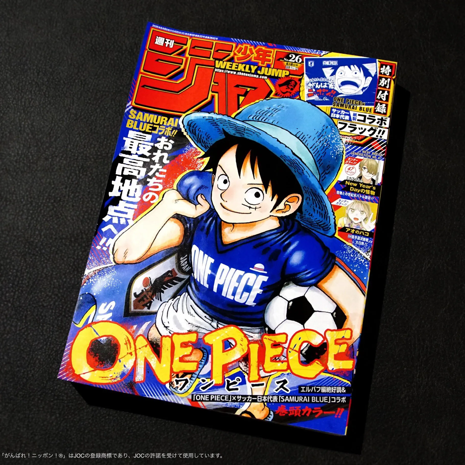 one piece japan world cup straw hats 5