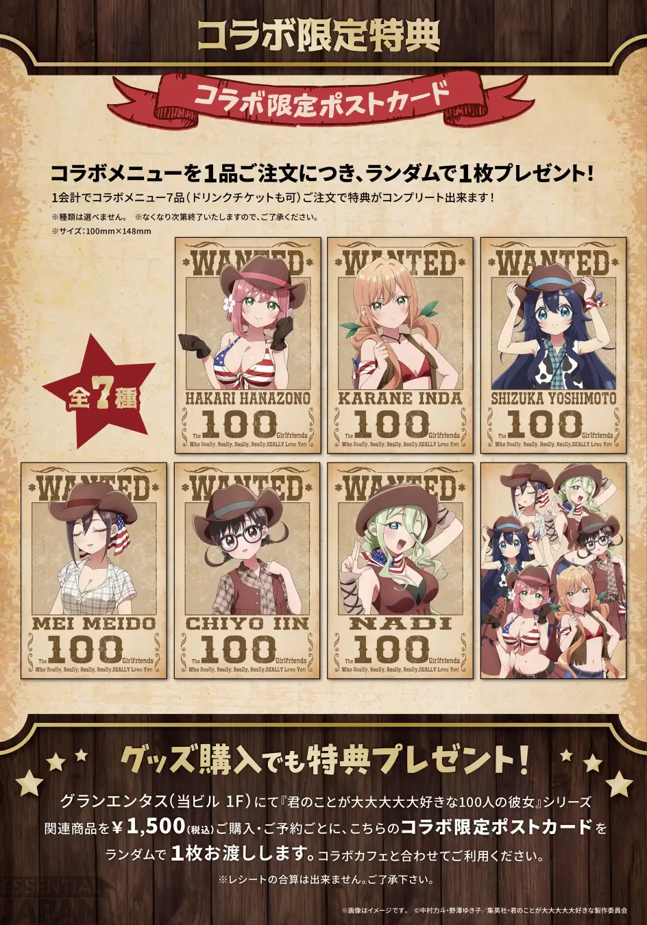 100 Girlfriends Cowgirl Themed Cafe 7