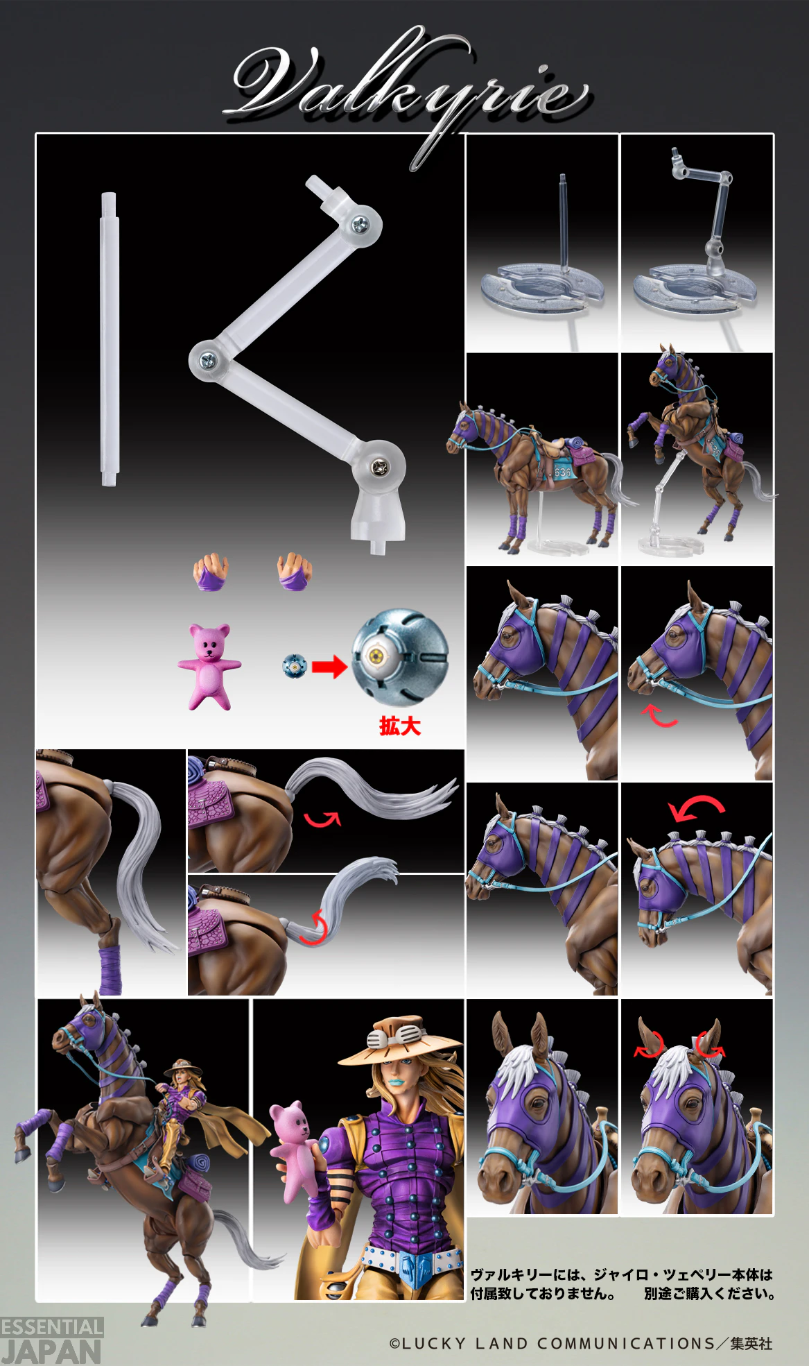 Steel Ball Run Valkyrie SAS 20