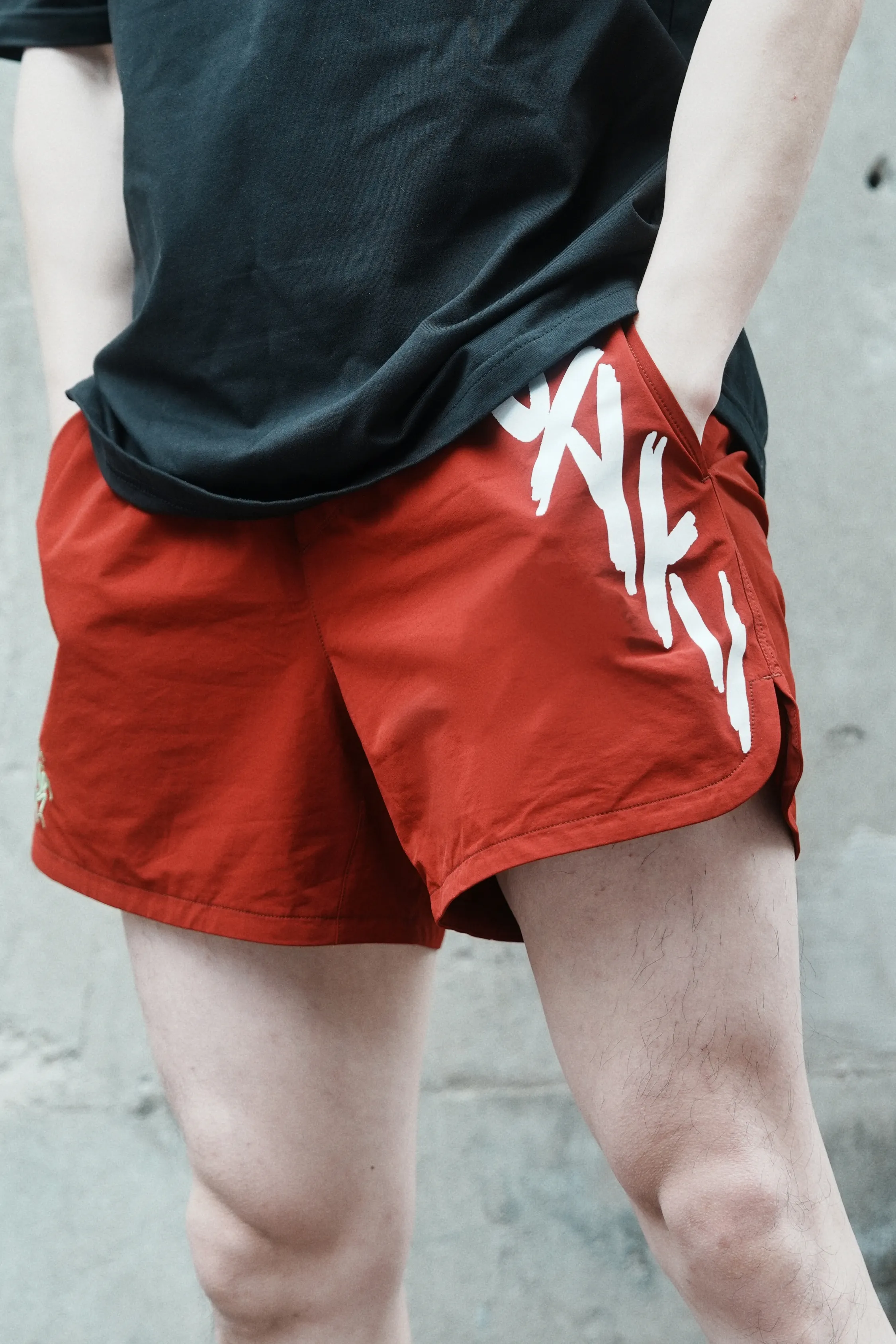 BAKI Imagination is Power Shorts (2)