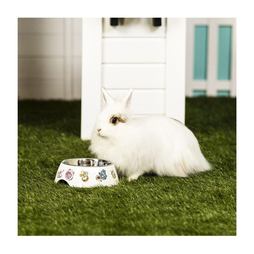 Pokemon Pet Collection 19