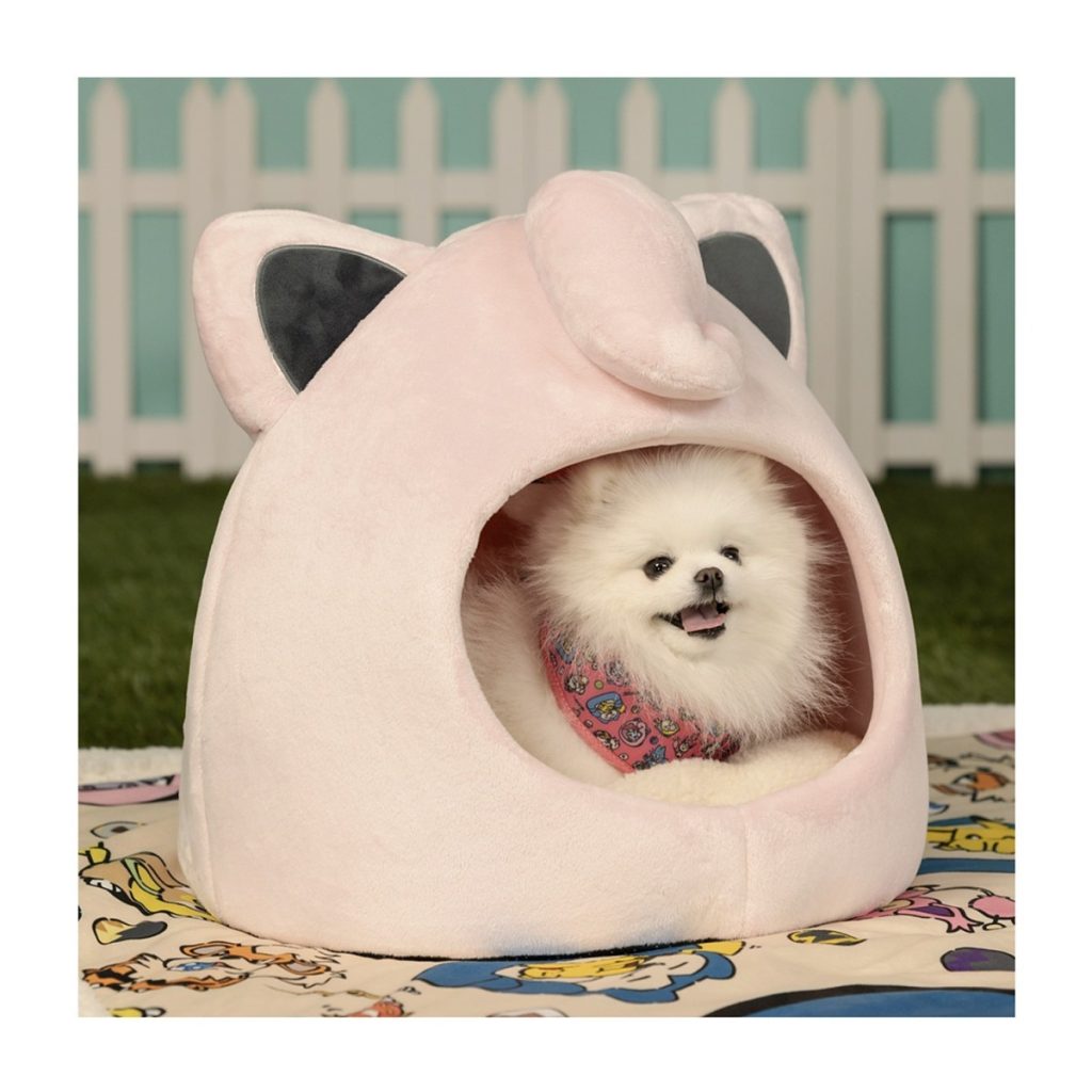 Pokemon Pet Collection 25