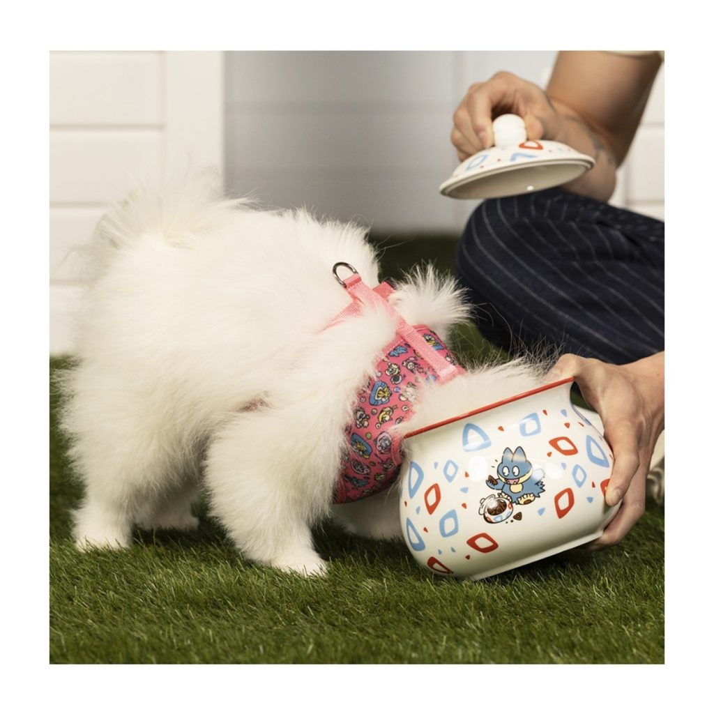 Pokemon Pet Collection 44