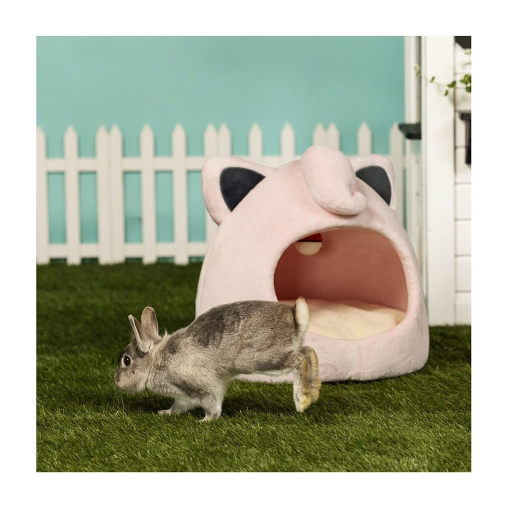 Pokemon Pet Collection 87